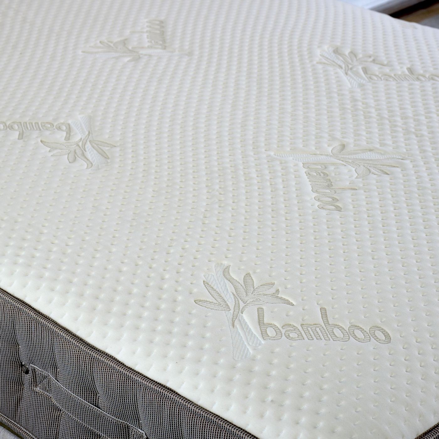 Bamboo Vitality